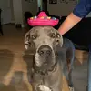 Andrew🙂 - @andrewbrian.03 - TikTok
