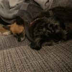 Andrew - @andrew_brinkley77 - Instagram