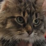 Andrew Brinton - @savagecat01 - Instagram