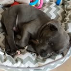 Andrew Brooker - Facebook