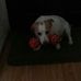 Andrew Bucknall - Facebook