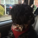 Andrew Bucknall - @bucknall1215 - Instagram