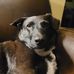 Andrew Buehler - Facebook