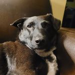 Andrew Buehler - @deeeedew - Instagram