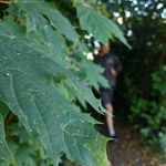Andrew Bull - @andrew_bull_ - Instagram