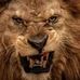 Andrew Bull - Facebook