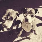 Andrew Burgin - @burgin1871 - Instagram