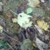 Andrew Burgin - Facebook