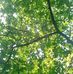 Andrew Burgin - Facebook