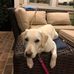 Andrew Burk - Facebook