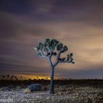 Andrew Burks - @andrewburksphotography - Instagram