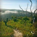 Andrew Burley - @burleyphoto - Instagram