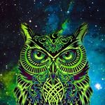 Andrew Burley - @burleytron - Instagram