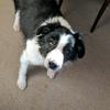 andrew.burley5 - @andrew.burley - TikTok