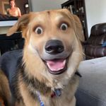 Andrew Busby - @andrewbusby111 - Instagram