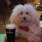 Andrew Busby - @andrewthumbsby - Instagram