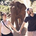 Andrew Busscher - @andrewthebusscher - Instagram