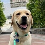 Andrew Cagle - @andrewjcagle - Instagram