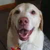 Andrew Callan - @andrew.callan2 - TikTok