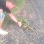 Andrew McAllister - @andrewmcallister - Instagram