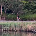 Andrew Camileri - @andrew_cammi - Instagram
