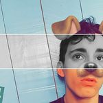 Andrew Card - @andrew.the.turtle - Instagram