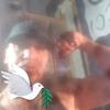 Andrew Cardinal - @andrew.cardinal4 - TikTok