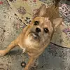 Andrew Carey - @andrew.carey6 - TikTok