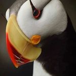 Andrew Carleton - @carleton.andrew - Instagram