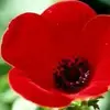 andrewcarrick16 - @andrewcarrick16 - TikTok