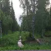 Andrew Chapple - @andrew.chapple - TikTok