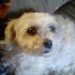 Andrew Chartier - @chartier.andrew - Instagram