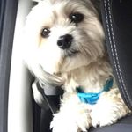 Andrew Chatterton - @andychatt2 - Instagram