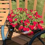 Andrew Chatterton - @andrewchatterton08 - Instagram
