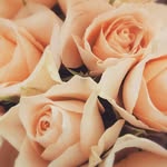 Andrew Chick - @andrewchick63 - Instagram