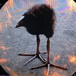 Andrew Cieslak - @cieslak_andrew - Instagram