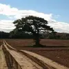 Andrew Clarey - @andrew.clarey - TikTok