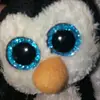 Andrew cleary - @penguinmoves2music - TikTok