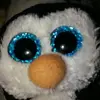 Andrew cleary - @penginmoves2music - TikTok