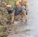 Andrew Cleaver - Facebook