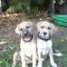 Andrew Clelland - Facebook