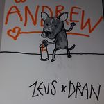 Andrew Martin Codd - @andrewmartincodd - Instagram