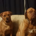 Andrew Coles - @andrew.coles.3133 - Instagram