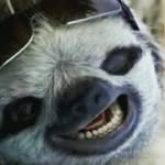 Andrew Collier - @collierandrew - Instagram