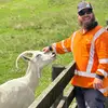 Andrew Collins - @andrew.collins29 - TikTok