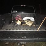 Andrew / Colton - @swva_extreme_predator_hunting - Instagram