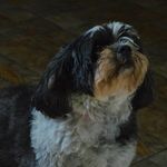 Andrew Colton - @thoughtfoodforyou - Instagram