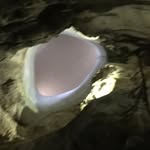 Andrew Conant - @andrewconant2007 - Instagram