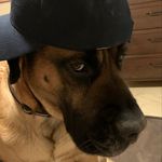 Andrew Conboy - @andrew__conboy - Instagram