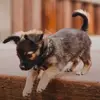 Depressed kid - @andrew_cool - TikTok